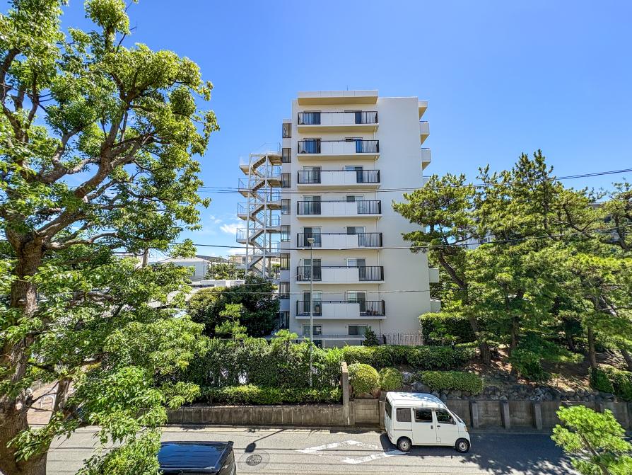 【販売現地】※令和7年7月10日撮影