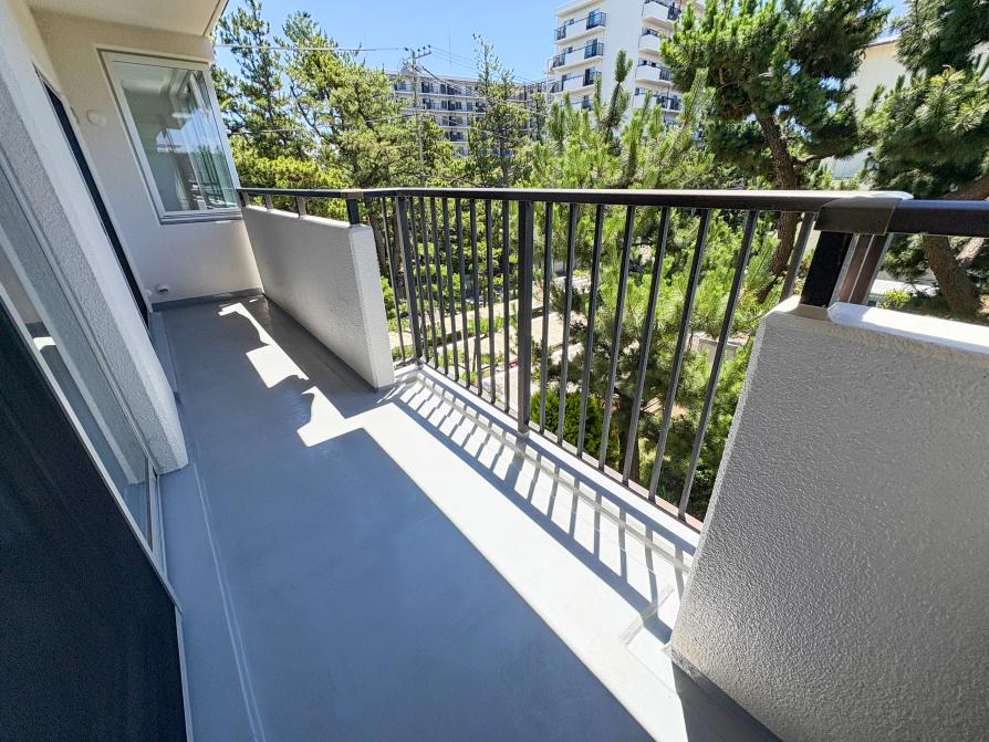 【販売現地】※令和7年7月10日撮影