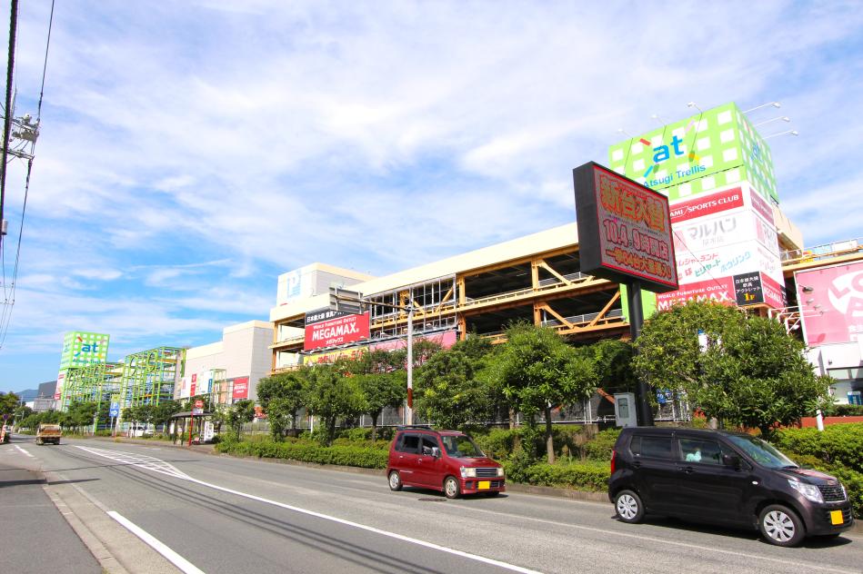 アツギトレリス / 約950M