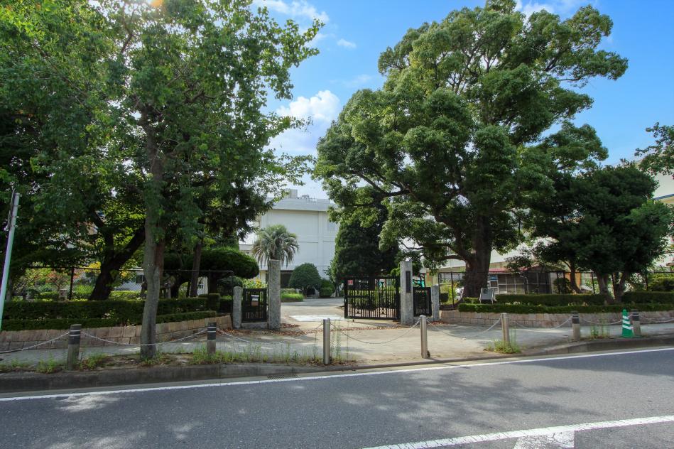 旭小学校 / 約300M